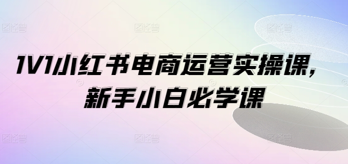 1V1小红书电商运营实操课，新手小白必学课-一号资源库