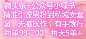 微头条+公众号小绿书,精准引流男粉到私域卖套图,无脑操作,有手就行,每单99-200,每天5单-一号资源库