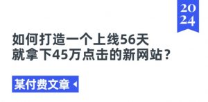 某付费文章《如何打造一个上线56天就拿下45万点击的新网站?》-一号资源库