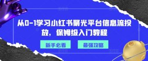 从0-1学习小红书聚光平台信息流投放，保姆级入门教程-一号资源库