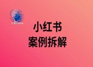 小红书案例拆解，深度解读小红书40万粉-一号资源库