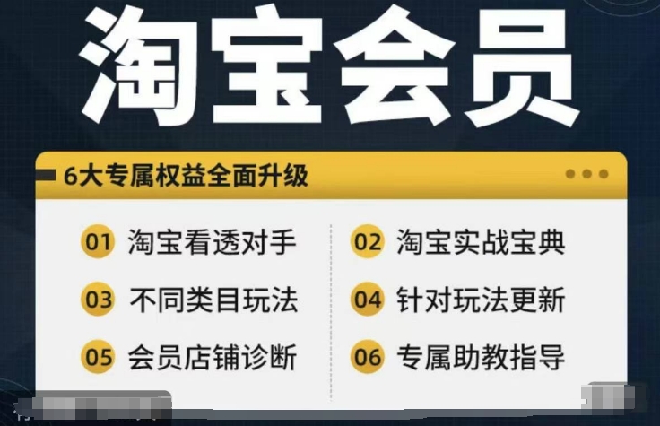 淘宝会员【淘宝所有课程，全面分析对手】，初级到高手全系实战宝典-一号资源库