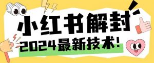 2024最新小红书账号封禁解封方法，无限释放手机号【揭秘】-一号资源库