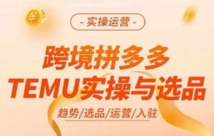 跨境拼多多TEMU实操与选品,多多temu跨境选品运营实操-一号资源库