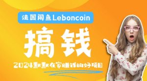 法国闲鱼Leboncoin跨境电商教程：环境邮箱电话解决产品上传及流量，悄悄赚钱【揭秘】-一号资源库