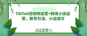 TikTok短视频运营+跨境小店运营，账号引流、小店成交-一号资源库