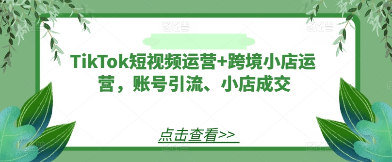 TikTok短视频运营+跨境小店运营，账号引流、小店成交-一号资源库