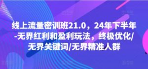 线上流量密训班21.0,24年下半年-无界红利和盈利玩法,终极优化/无界关键词/无界精准人群-一号资源库