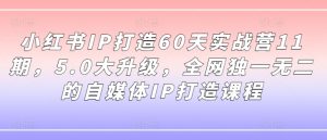 小红书IP打造60天实战营11期，5.0大升级，全网独一无二的自媒体IP打造课程-一号资源库