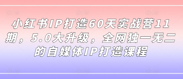 小红书IP打造60天实战营11期，5.0大升级，全网独一无二的自媒体IP打造课程-一号资源库