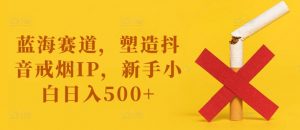 蓝海赛道,塑造抖音戒烟IP,新手小白日入500+【揭秘】-一号资源库