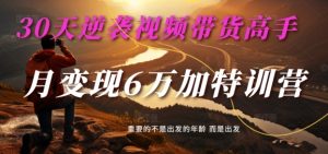 30天逆袭视频带货高手,单月变现6万加特训营-麦子甜-一号资源库
