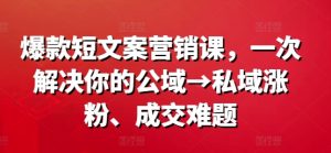 爆款短文案营销课，一次解决你的公域→私域涨粉、成交难题-一号资源库