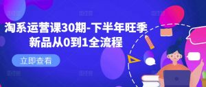 淘系运营课30期-下半年旺季新品从0到1全流程-一号资源库