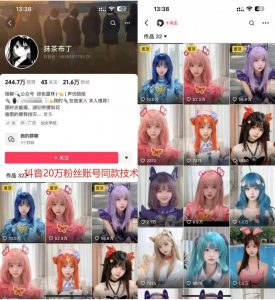 云天二次元美女起号教学，月涨10万粉丝，不判搬运-一号资源库