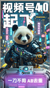 梅花实验窒微信视频号连怼玩法技巧起飞4.0一键AB破解版【揭秘】-一号资源库