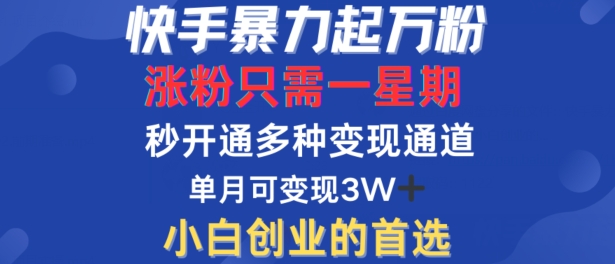 快手暴力起万粉，涨粉只需一星期，多种变现模式，直接秒开万合，单月变现过W【揭秘】-一号资源库