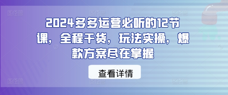 2024多多运营必听的12节课，全程干货，玩法实操，爆款方案尽在掌握-一号资源库