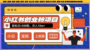 小红书创业粉项目日+500粉，每天20分钟躺赚长尾收益，无脑操作，宝妈，小白抓紧冲【揭秘】-一号资源库