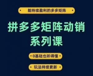 拼多多矩阵动销系列课，能持续盈利的多多矩阵，0基础也听得懂，玩法持续更新-一号资源库
