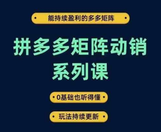 拼多多矩阵动销系列课，能持续盈利的多多矩阵，0基础也听得懂，玩法持续更新-一号资源库