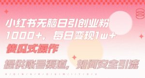 小红书无脑每日引流创业粉500+，小白每天只花半小时，躺赚长尾收益【揭秘】-一号资源库