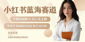 小红书蓝海赛道，圈中高端职场人，月入无上限，可矩阵，内含私域实操教程!-一号资源库