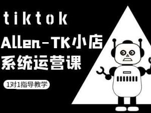 TK小店系统运营课-tiktok跨境电商教程-一号资源库