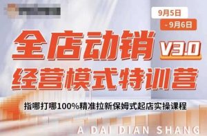 全店动销经营模式特训营，指哪打哪100%精准拉新保姆式起店实操课程-一号资源库
