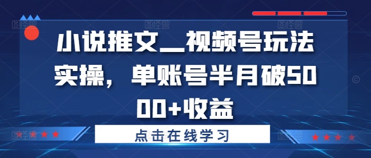 小说推文—视频号玩法实操，单账号半月破5000+收益-一号资源库