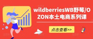 wildberriesWB野莓/OZON本土电商系列课,掌握WB产品优化,出单技巧和订单处理等-一号资源库