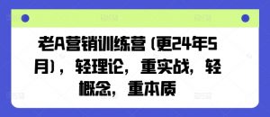老A营销训练营(更24年9月)，轻理论，重实战，轻概念，重本质-一号资源库