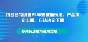 拼多多特训营24年爆破流玩法，产品决定上限，方法决定下限，各种玩法技巧落地实操-一号资源库