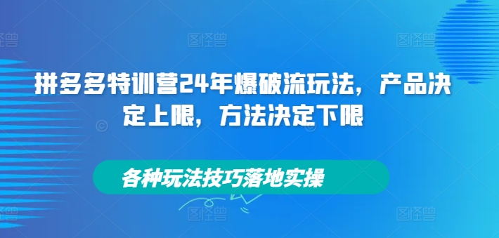 拼多多特训营24年爆破流玩法，产品决定上限，方法决定下限，各种玩法技巧落地实操-一号资源库