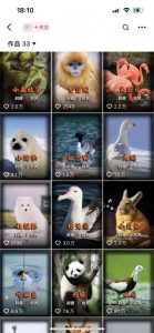 动物科普解说项目，撸创作者伙伴计划收益，保姆级实战教程-一号资源库