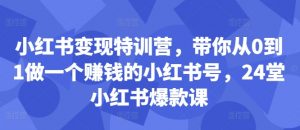 小红书变现特训营，带你从0到1做一个赚钱的小红书号，24堂小红书爆款课-一号资源库