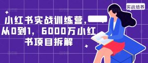 小红书实战训练营，从0到1，6000万小红书项目拆解-一号资源库