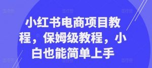 小红书电商项目教程,保姆级教程,小白也能简单上手-一号资源库