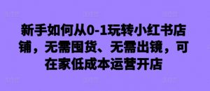新手如何从0-1玩转小红书店铺，无需囤货、无需出镜，可在家低成本运营开店-一号资源库