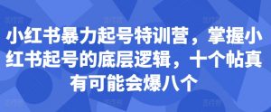 小红书暴力起号特训营，掌握小红书起号的底层逻辑，十个帖真有可能会爆八个-一号资源库