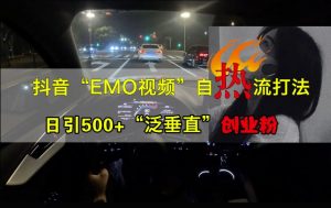 抖音EMO视频自热打法，日引500+“泛垂直”创业粉-一号资源库