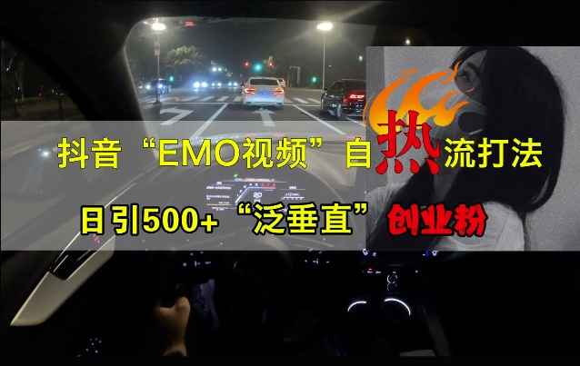 抖音EMO视频自热打法，日引500+“泛垂直”创业粉-一号资源库