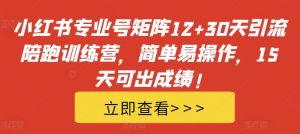 小红书专业号矩阵12+30天引流陪跑训练营，简单易操作，15天可出成绩!-一号资源库