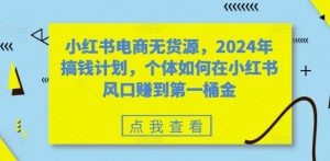 小红书电商无货源，2024年搞钱计划，个体如何在小红书风口赚到第一桶金-一号资源库