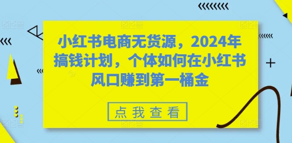 小红书电商无货源，2024年搞钱计划，个体如何在小红书风口赚到第一桶金-一号资源库