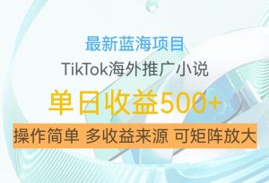 最新蓝海项目，利用tiktok海外推广小说赚钱佣金，简单易学，日入500+，可矩阵放大【揭秘】-一号资源库
