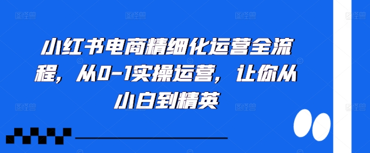 小红书电商精细化运营全流程，从0-1实操运营，让你从小白到精英-一号资源库