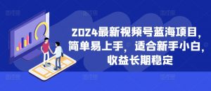 2024最新视频号蓝海项目，简单易上手，适合新手小白，收益长期稳定-一号资源库