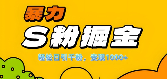 单人单机日引千粉，变现1k+，S粉流量掘金计划攻略【揭秘】-一号资源库