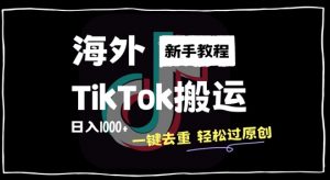 2024最新海外TikTok搬运玩法，一键去重轻松过原创，新手无经验也能日入1k【揭秘】-一号资源库